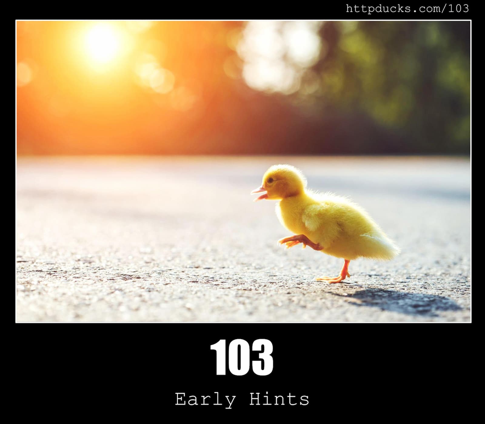HTTP Status Code 103 Early Hints & Ducks
