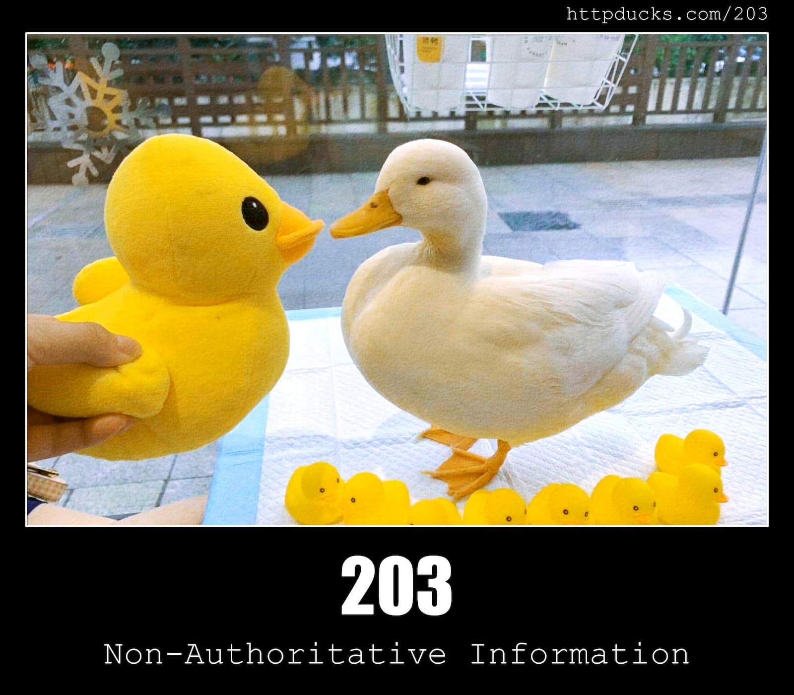 HTTP Status Code 203 Non-Authoritative Information & Ducks