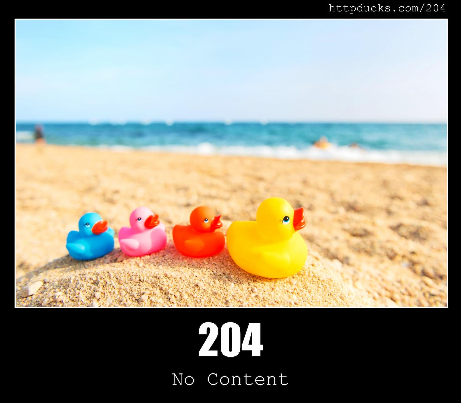 HTTP Status Code 204 No Content & Ducks