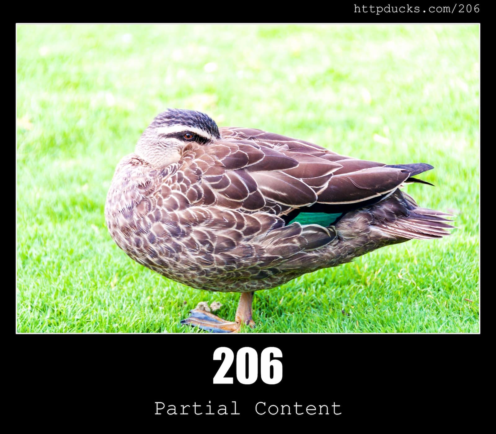 HTTP Status Code 206 Partial Content  & Ducks