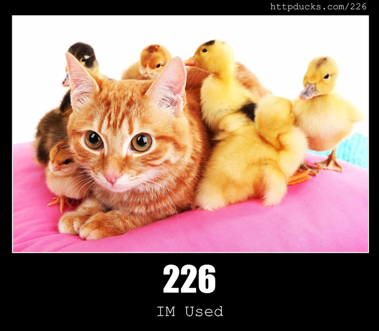 HTTP Status Code 226 IM Used & Ducks