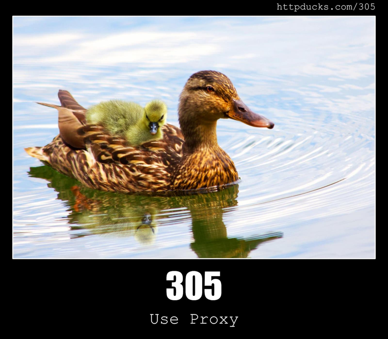 HTTP Status Code 305 Use Proxy & Ducks