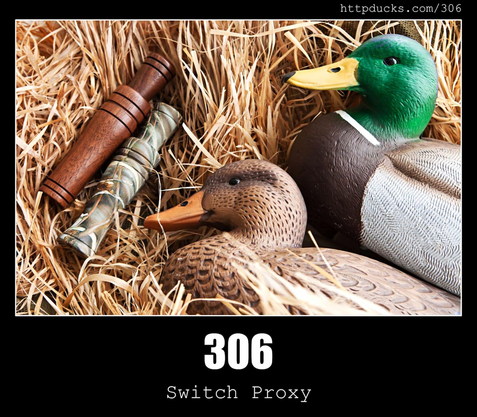HTTP Status Code 306 Switch Proxy & Ducks