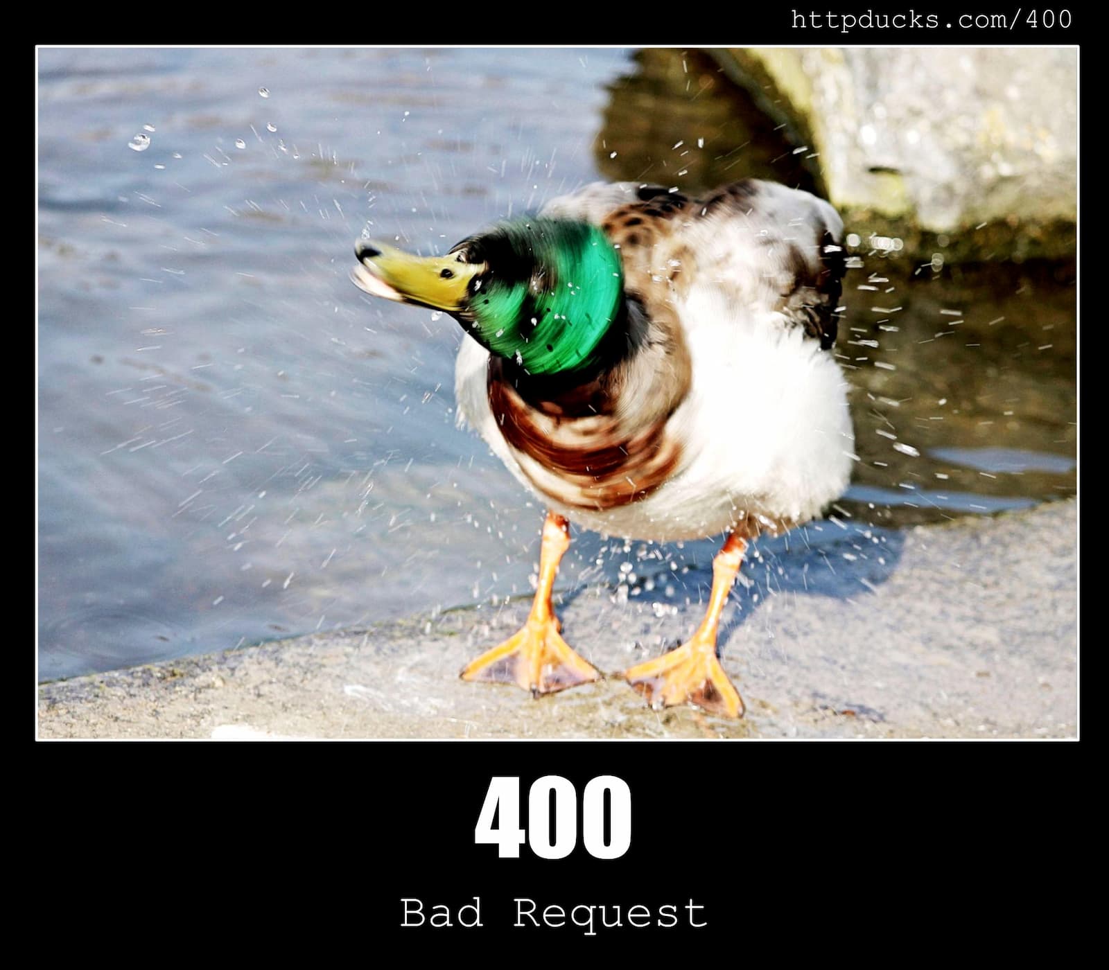 HTTP Status Code 400 Bad Request & Ducks