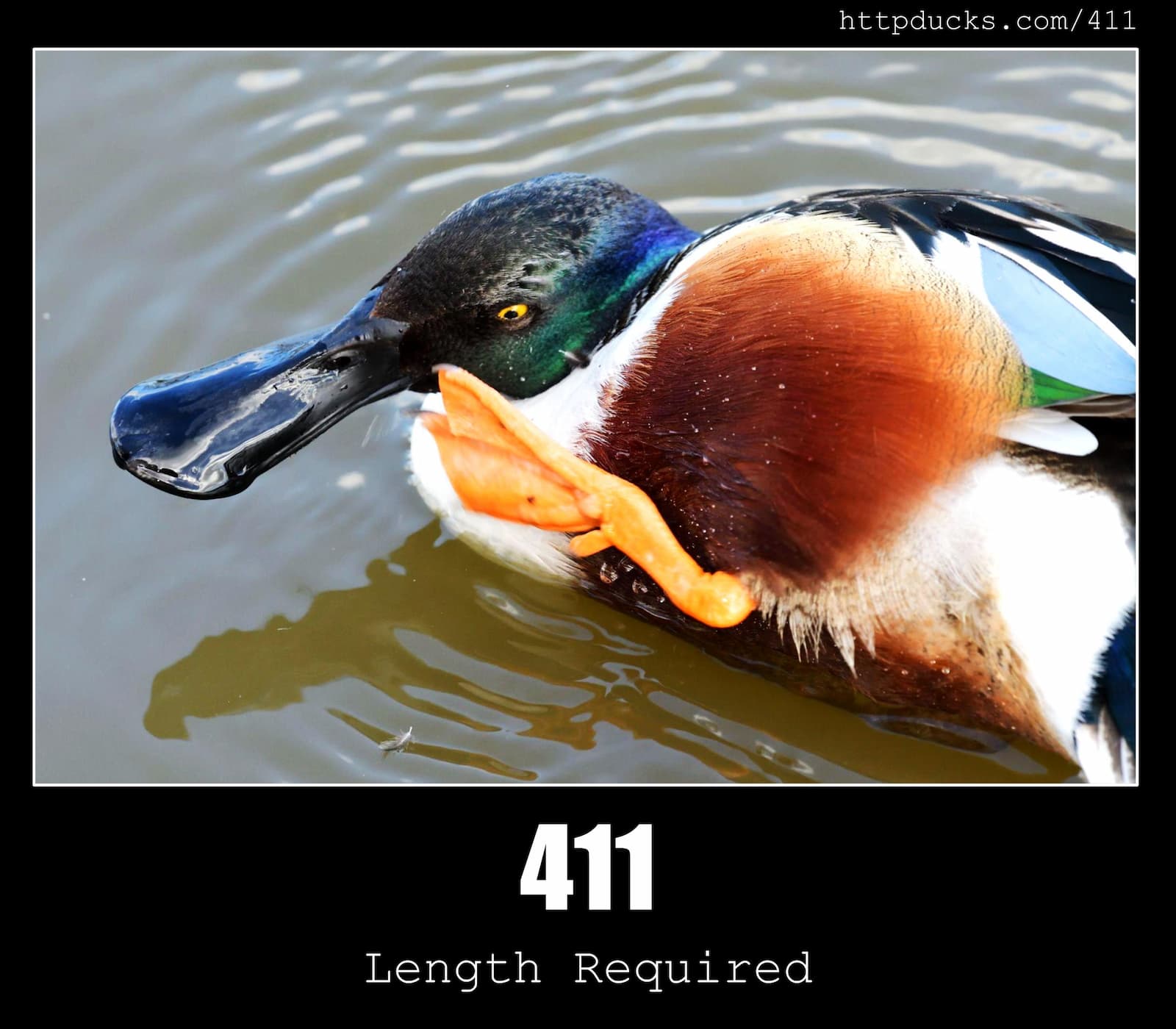 HTTP Status Code 411 Length Required & Ducks