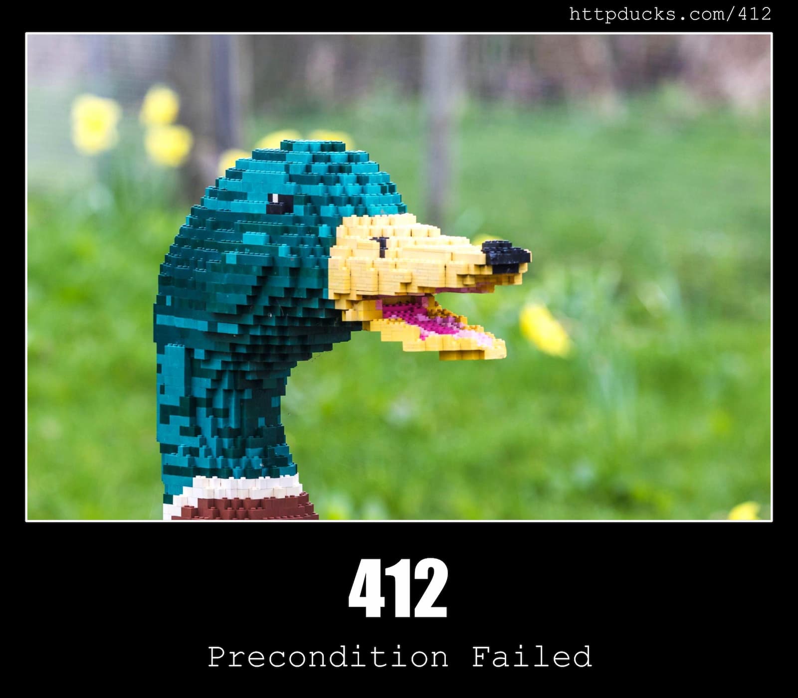 HTTP Status Code 412 Precondition Failed & Ducks