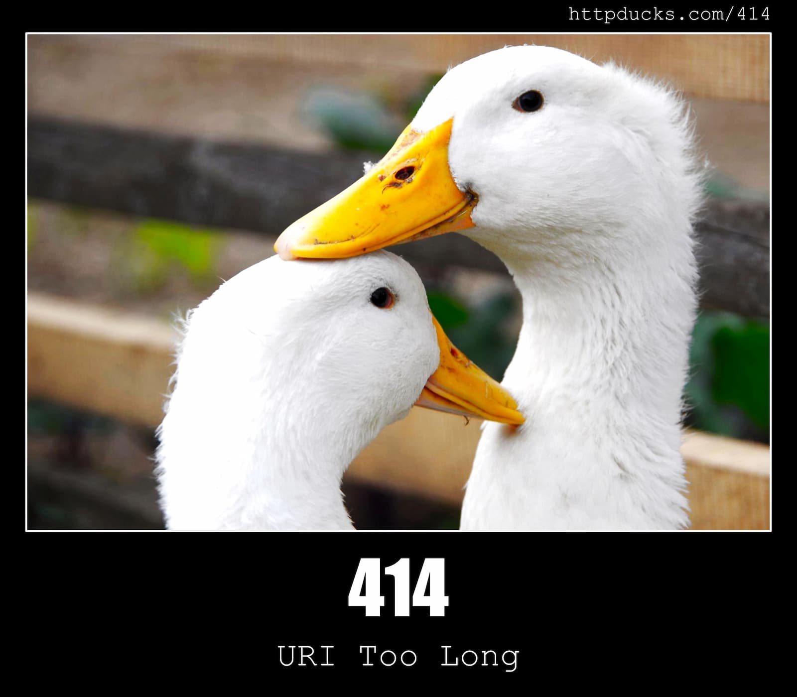 HTTP Status Code 414 URI Too Long & Ducks