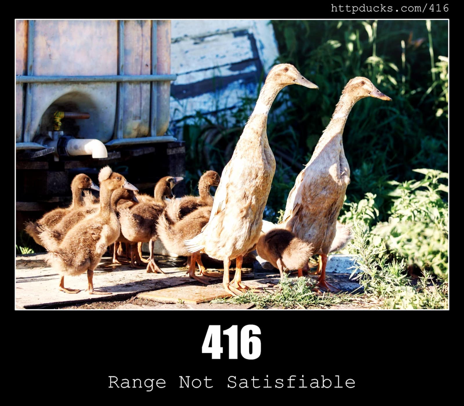 HTTP Status Code 416 Range Not Satisfiable & Ducks