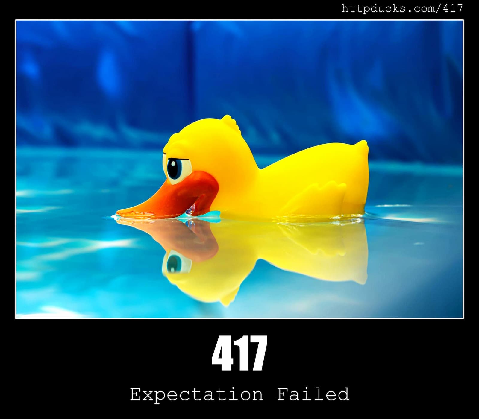 HTTP Status Code 417 Expectation Failed & Ducks