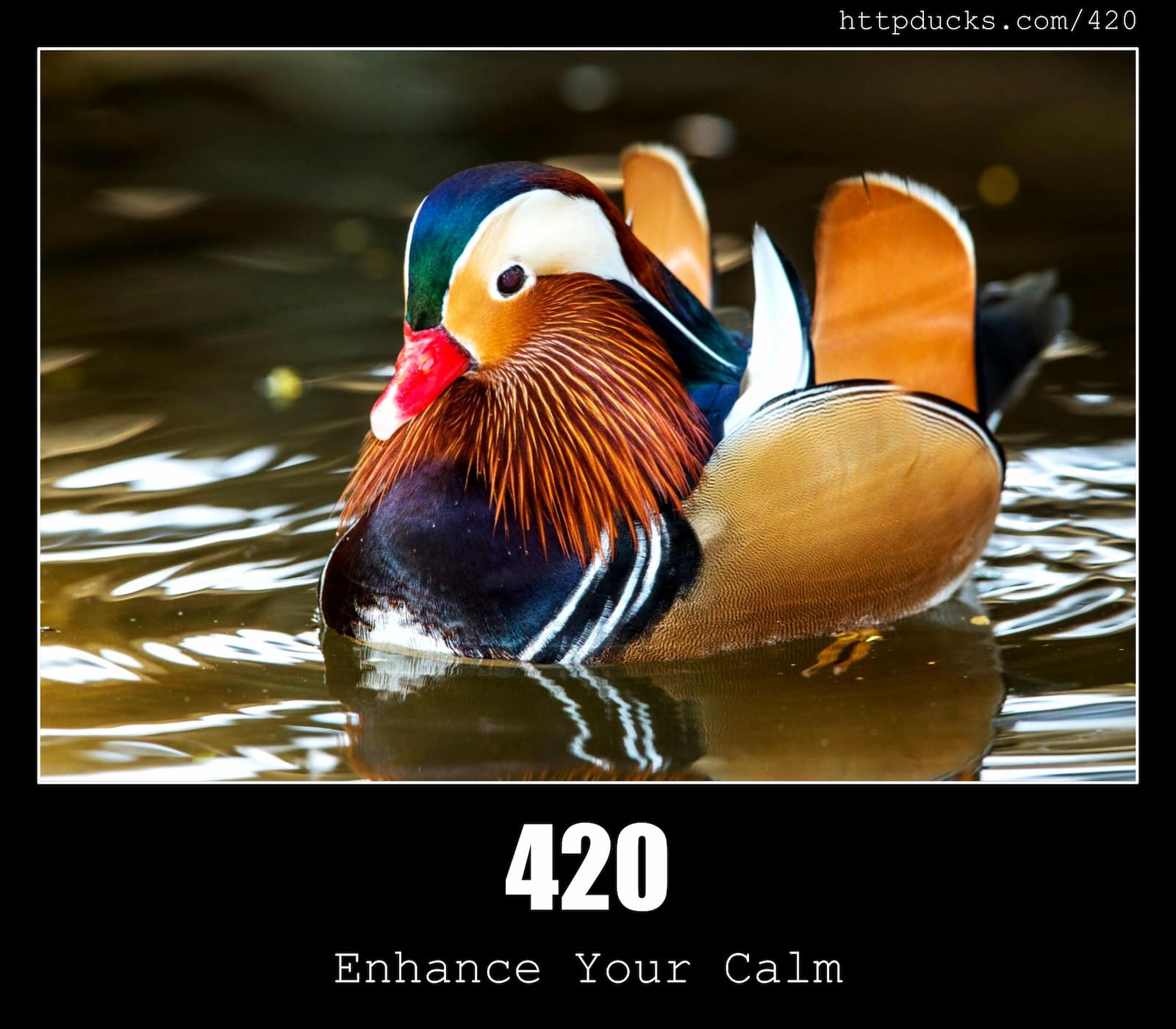 HTTP Status Code 420 Enhance your calm & Ducks