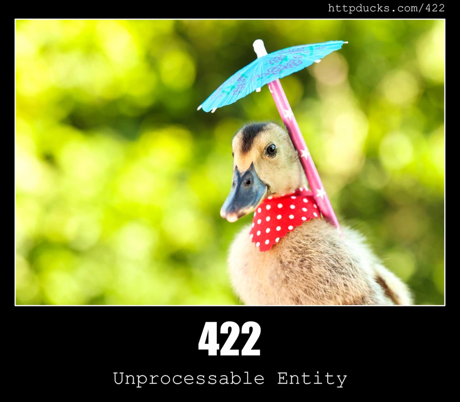 HTTP Status Code 422 Unprocessable Entity & Ducks
