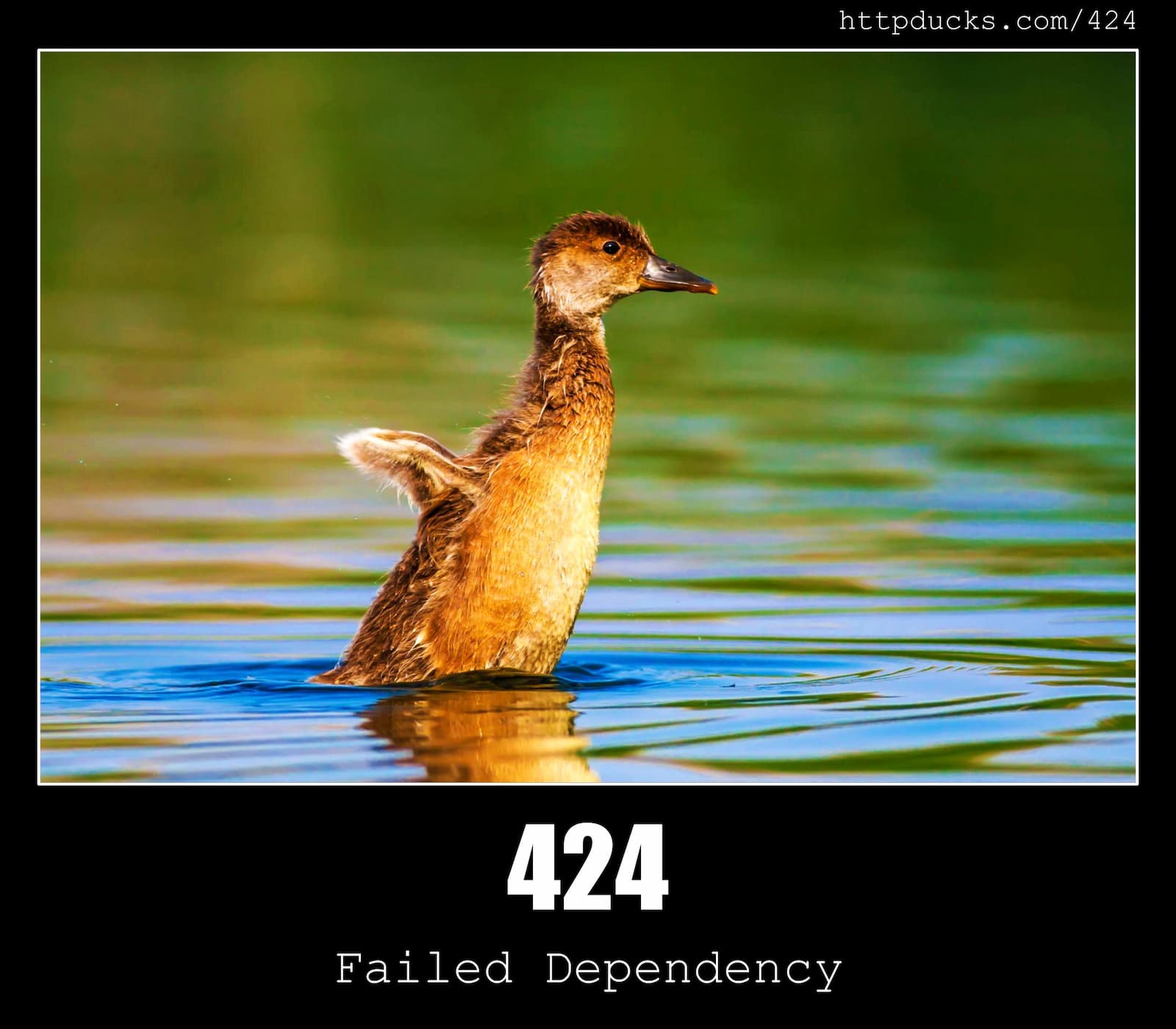 HTTP Status Code 424 Failed Dependency & Ducks