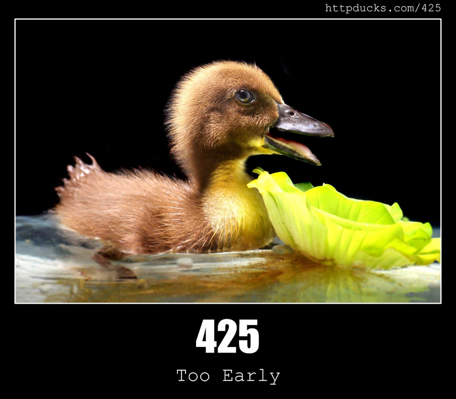 HTTP Status Code 425 Too Early & Ducks