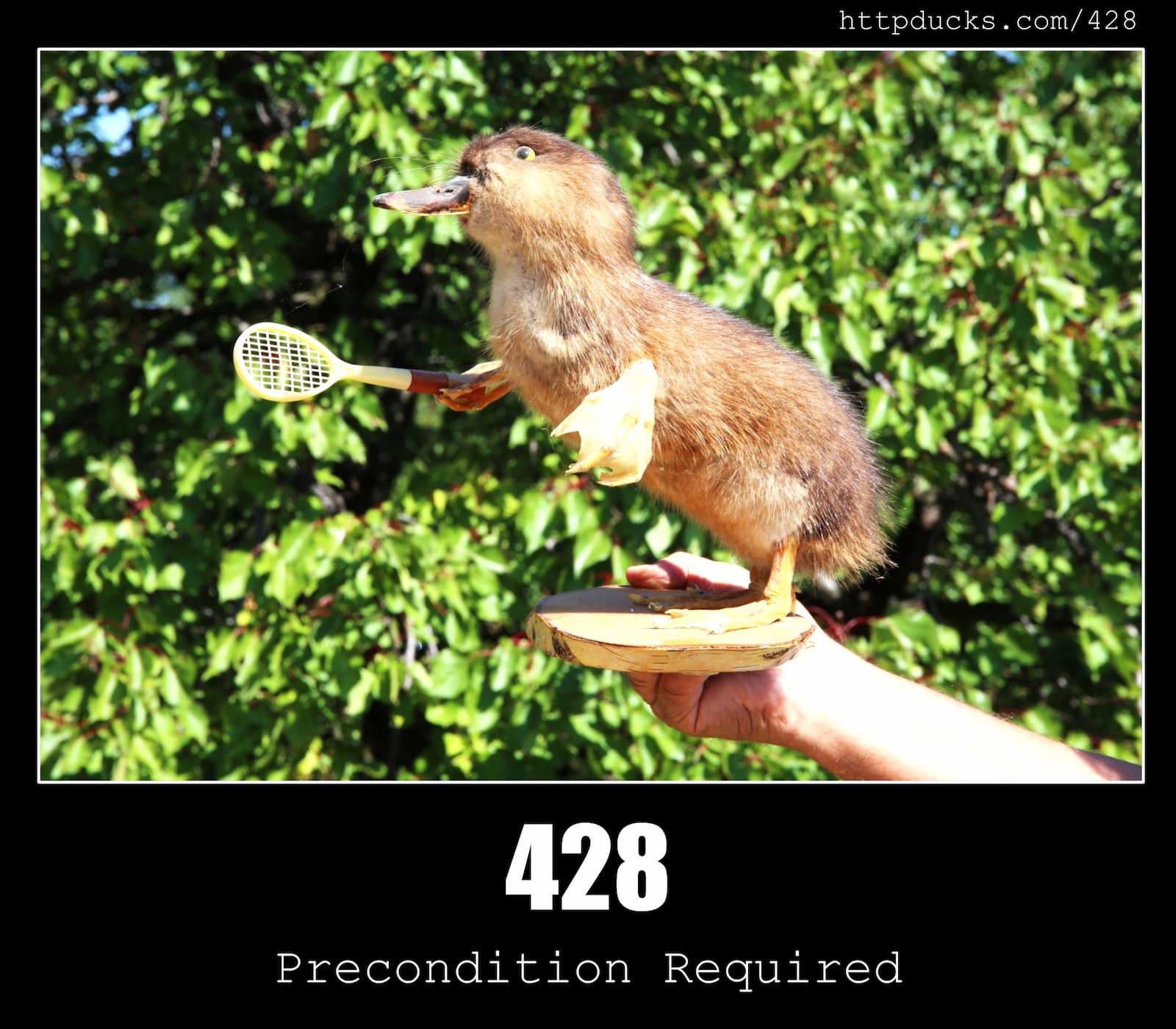 HTTP Status Code 428 Precondition Required & Ducks