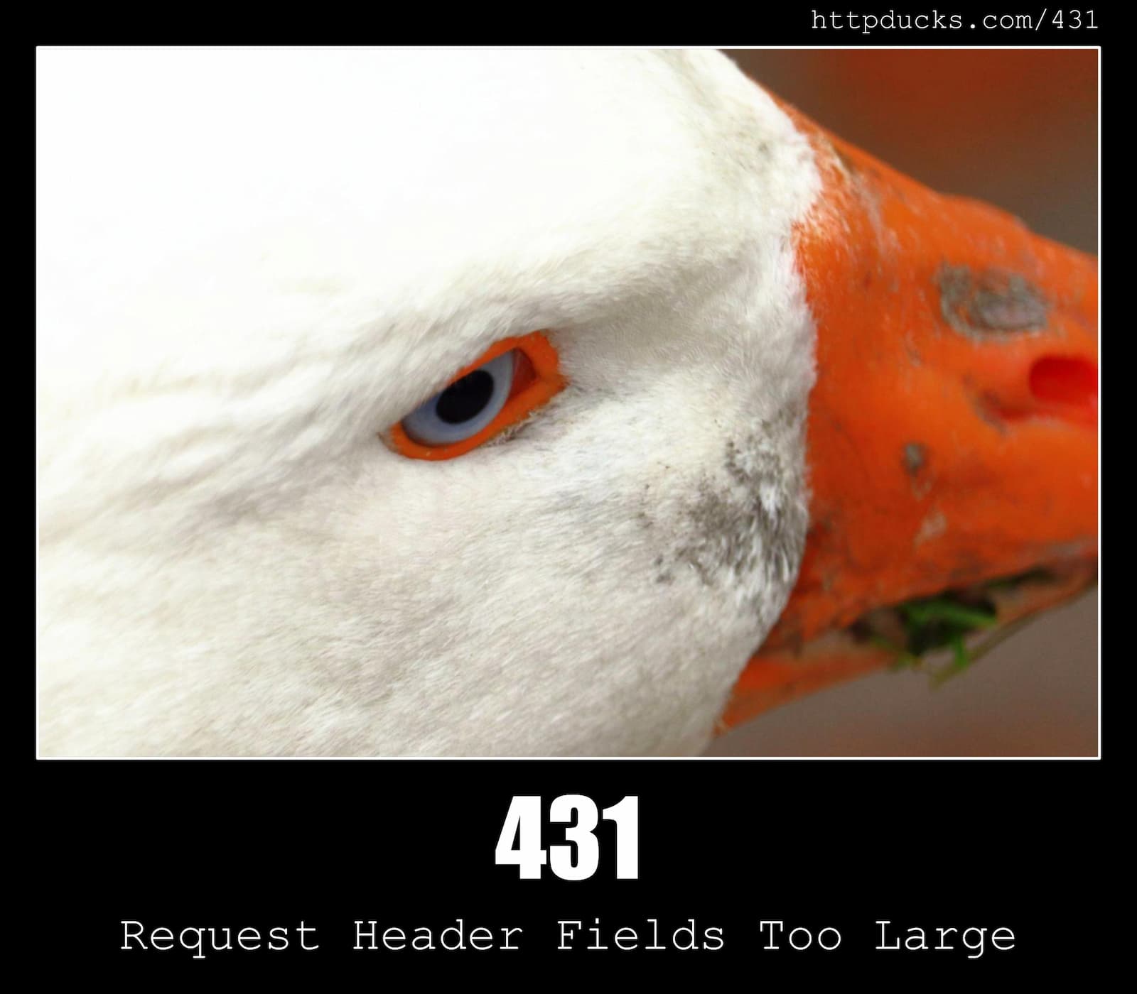 HTTP Status Code 431 Request Header Fields Too Large & Ducks