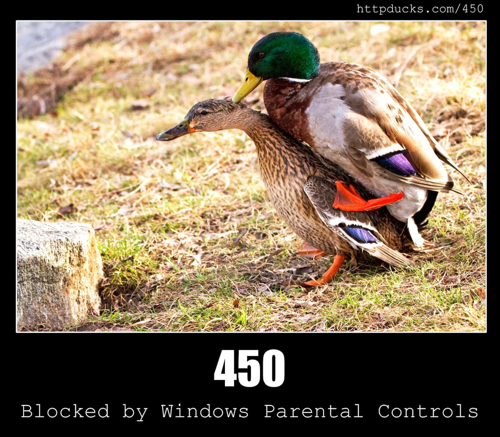 HTTP Status Code 450 Blocked by Windows Parental Controls & Ducks