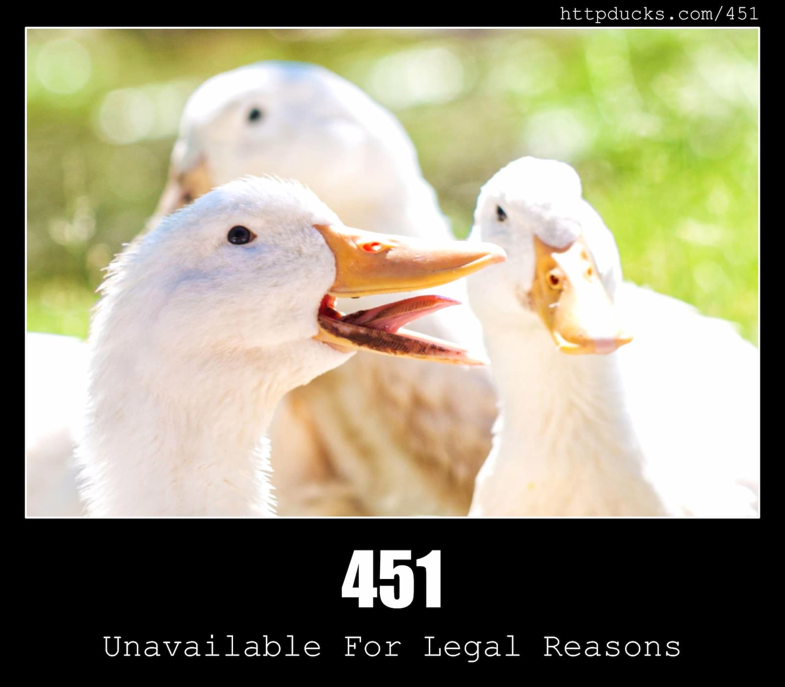 HTTP Status Code 451 Unavailable For Legal Reasons & Ducks