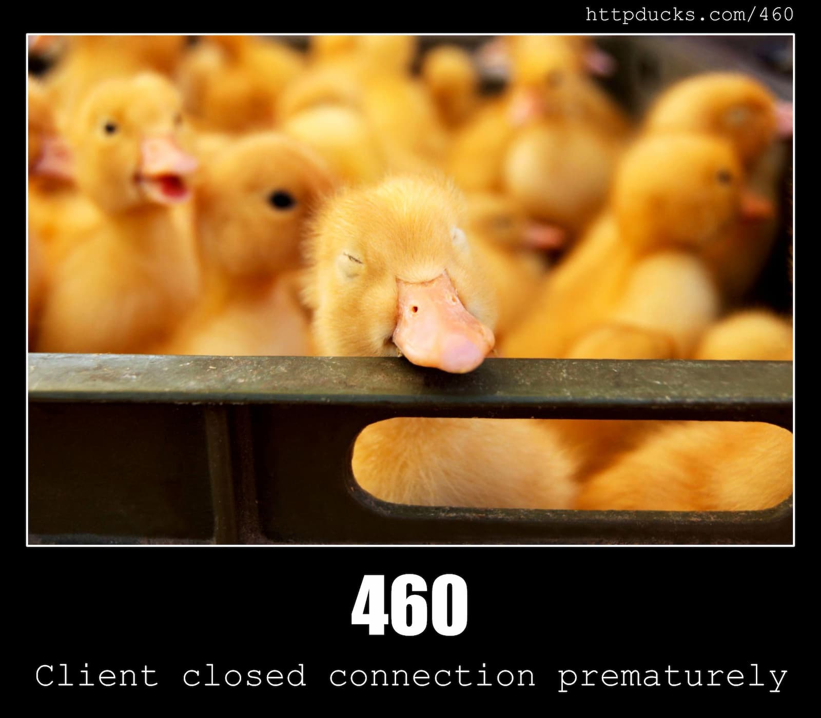 HTTP Status Code 460 Client closed connection prematurely & Ducks