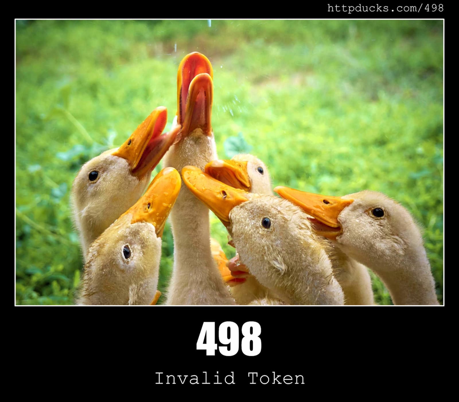 HTTP Status Code 498 Invalid Token & Ducks