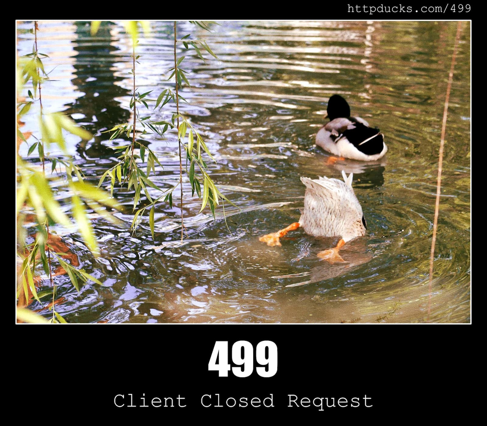 HTTP Status Code 499 Client Closed Request & Ducks