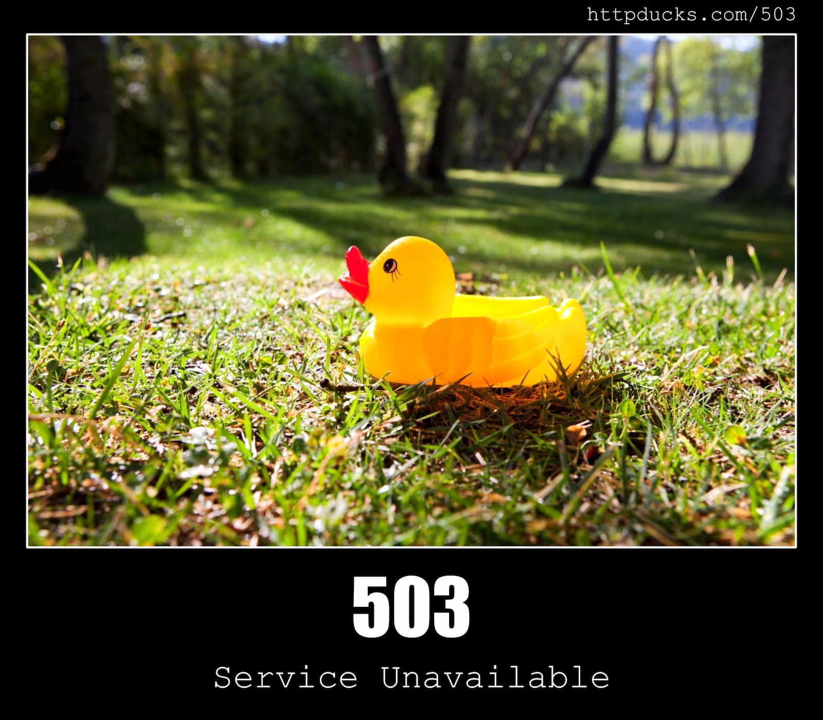 HTTP Status Code 503 Service Unavailable & Ducks