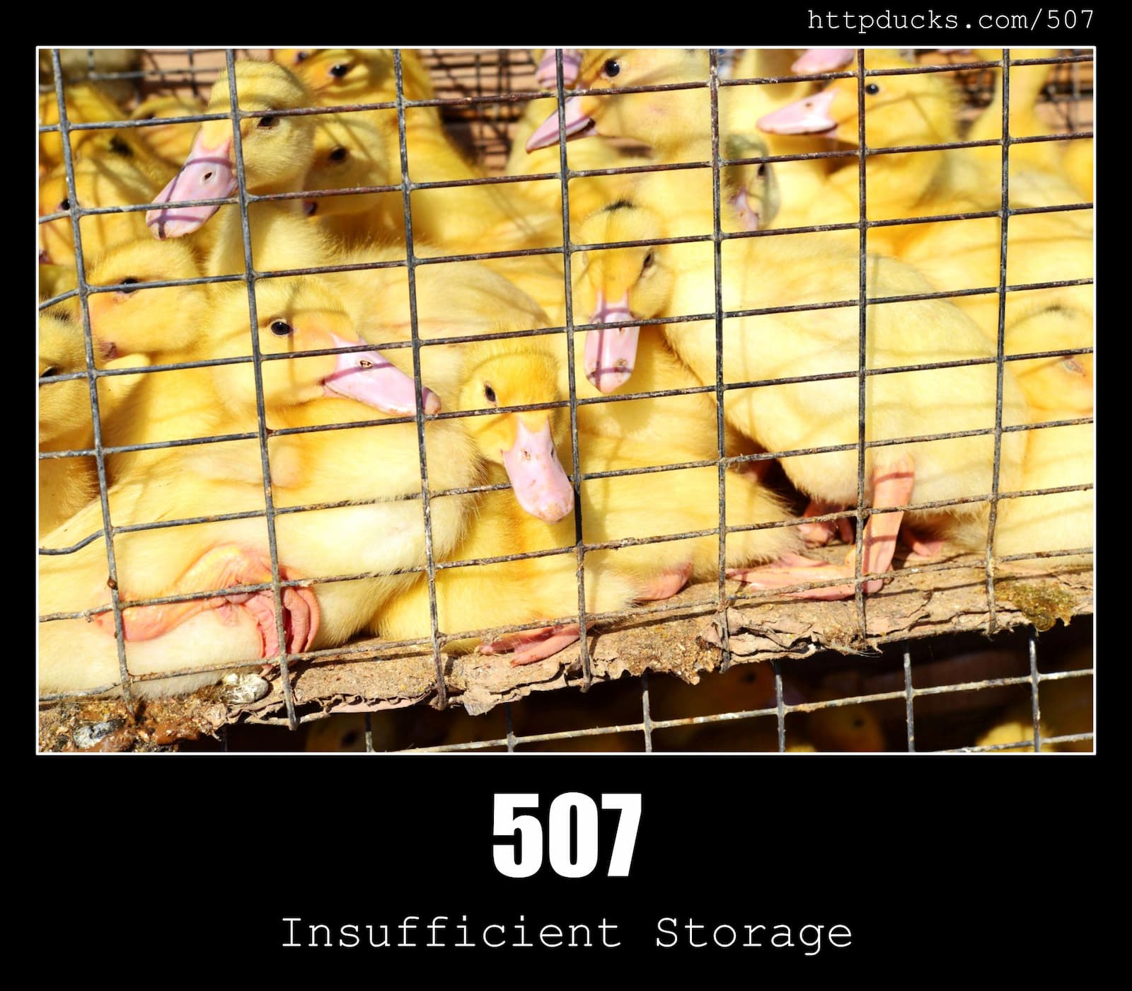 HTTP Status Code 507 Insufficient Storage & Ducks