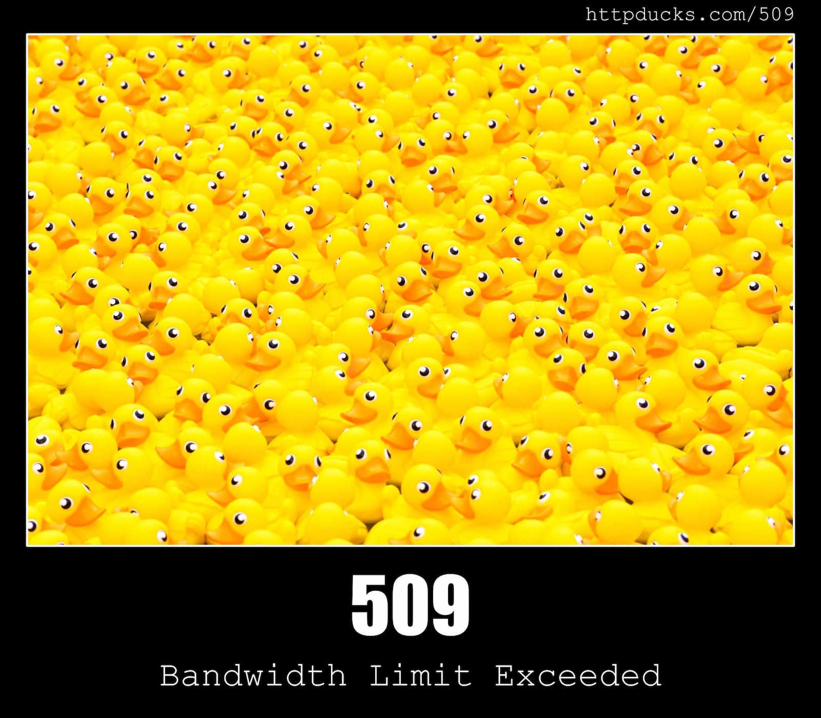HTTP Status Code 509 Bandwidth Limit Exceeded & Ducks
