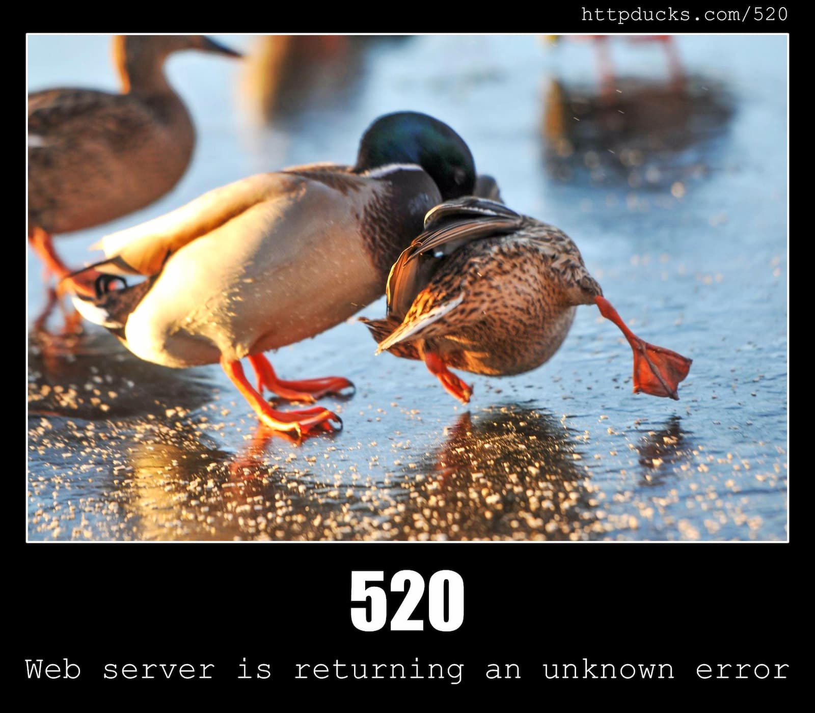 HTTP Status Code 520 Web server is returning an unknown error & Ducks