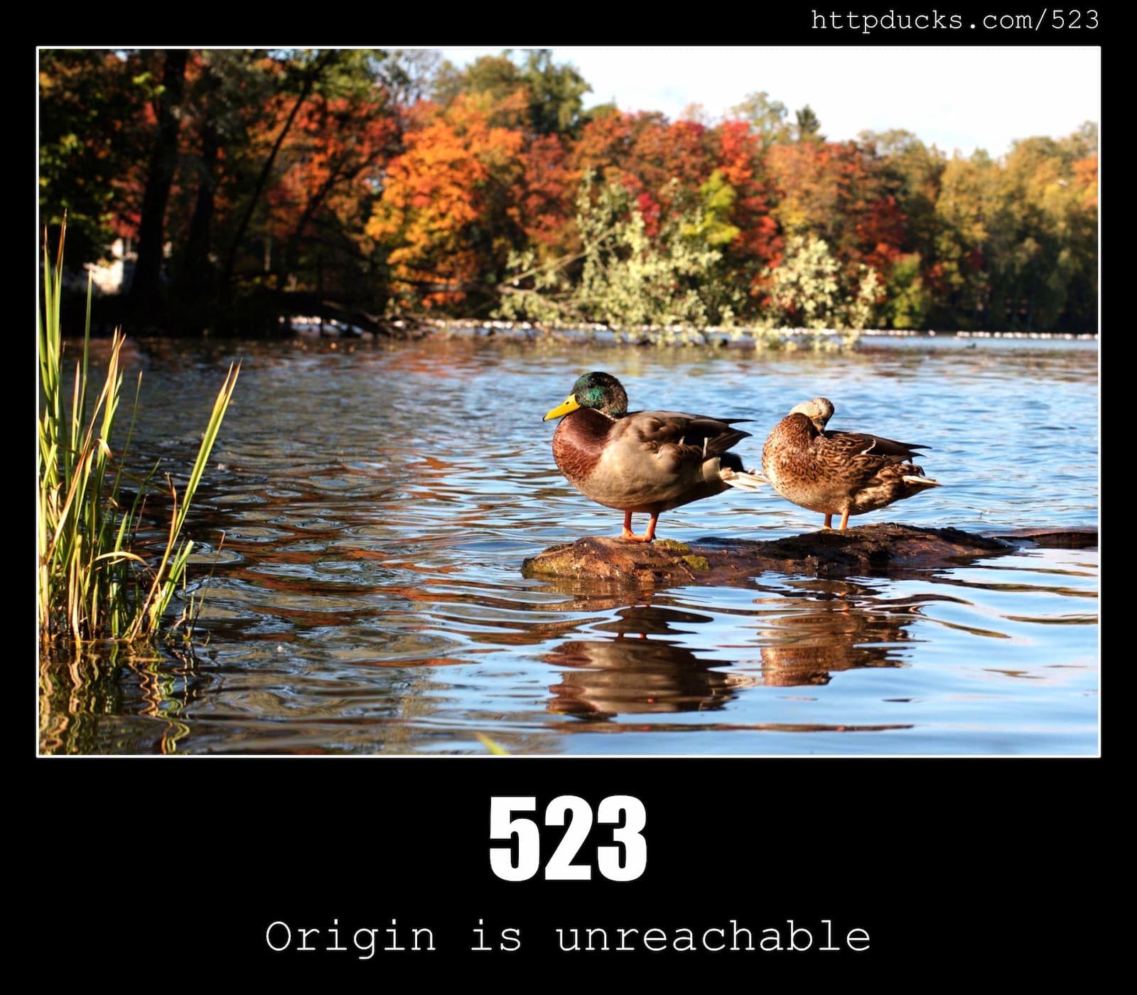 HTTP Status Code 523 Origin is unreachable & Ducks