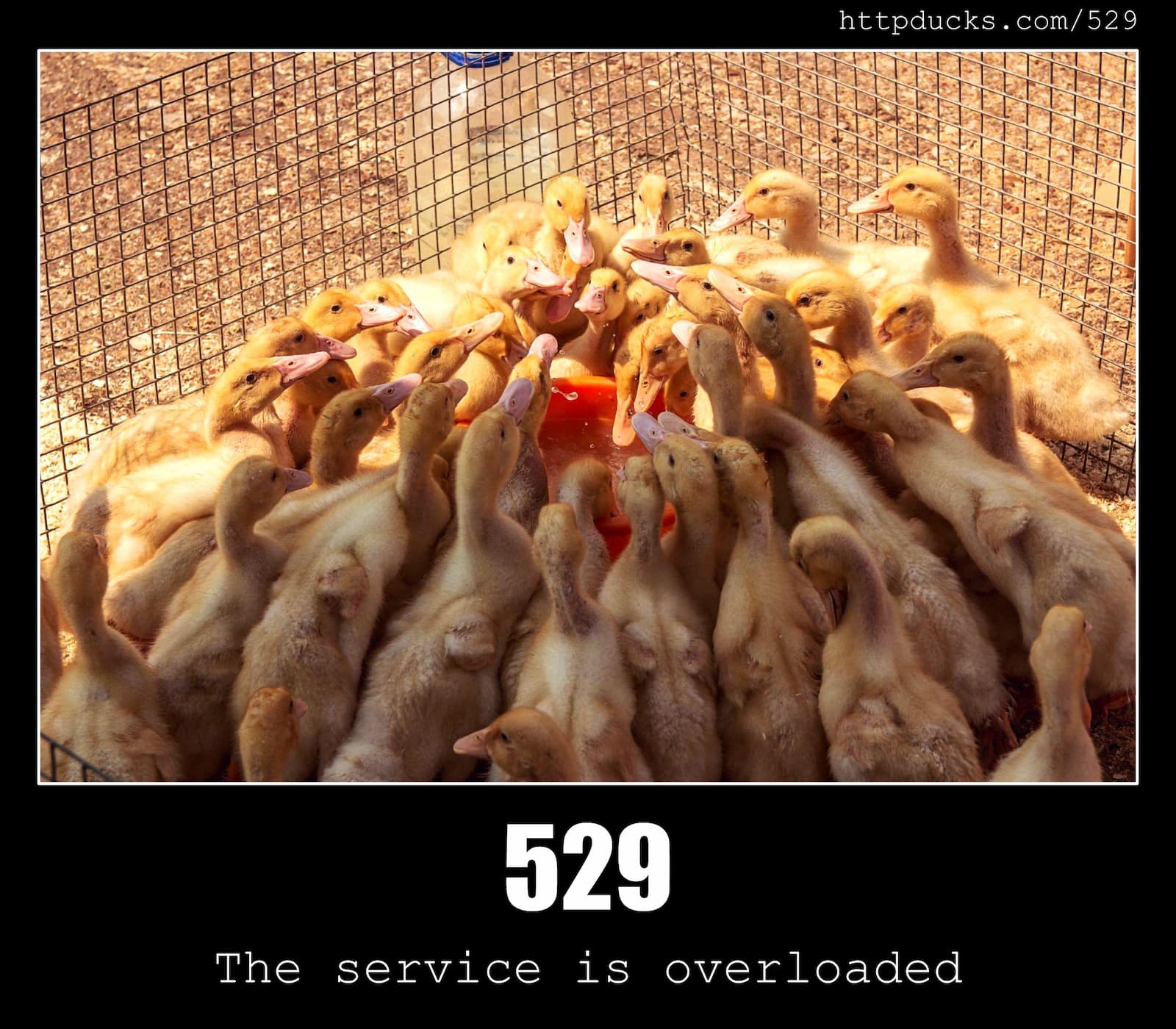 HTTP Status Code 529 The service is overloaded & Ducks