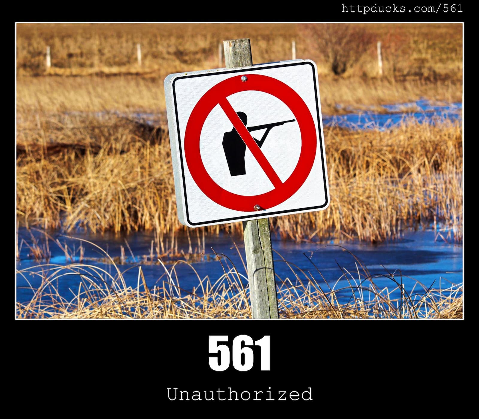 HTTP Status Code 561 Unauthorized & Ducks