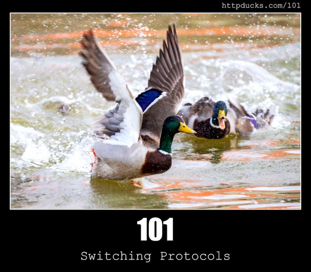 101-switching-protocols-http-status-code-and-cats