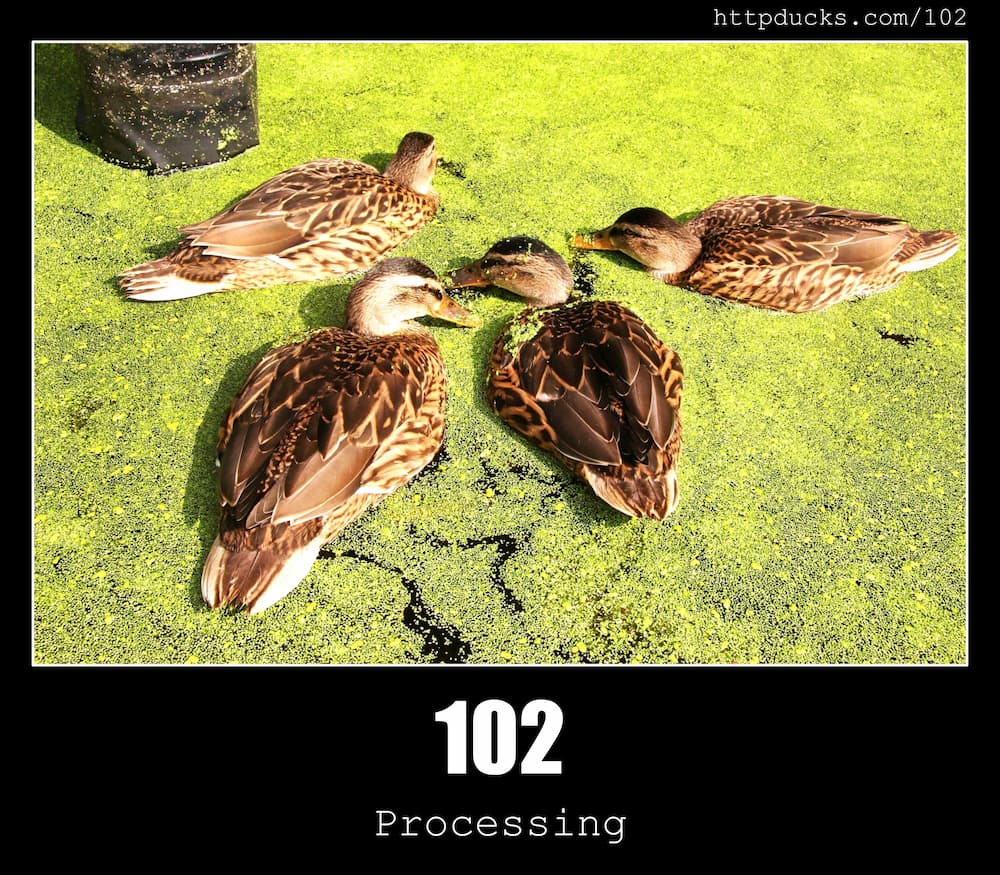 102-processing-http-status-code-and