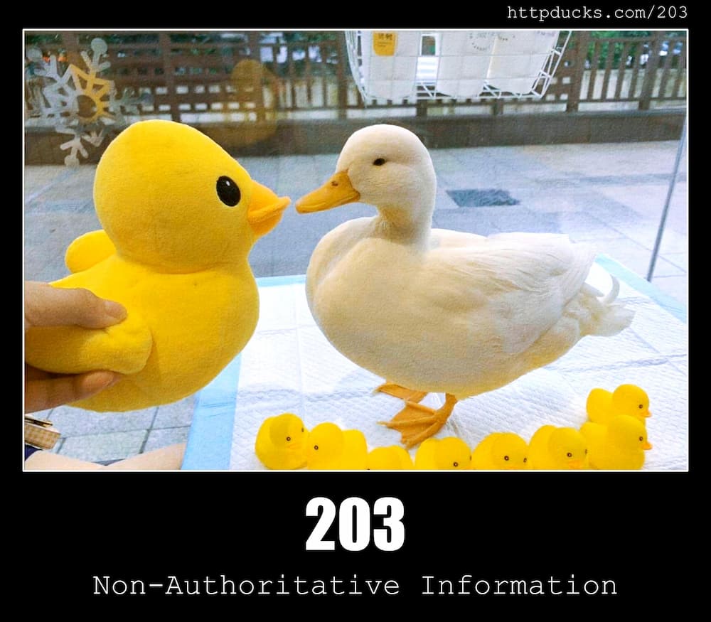 203-non-authoritative-information-http-status-code-and-dogs