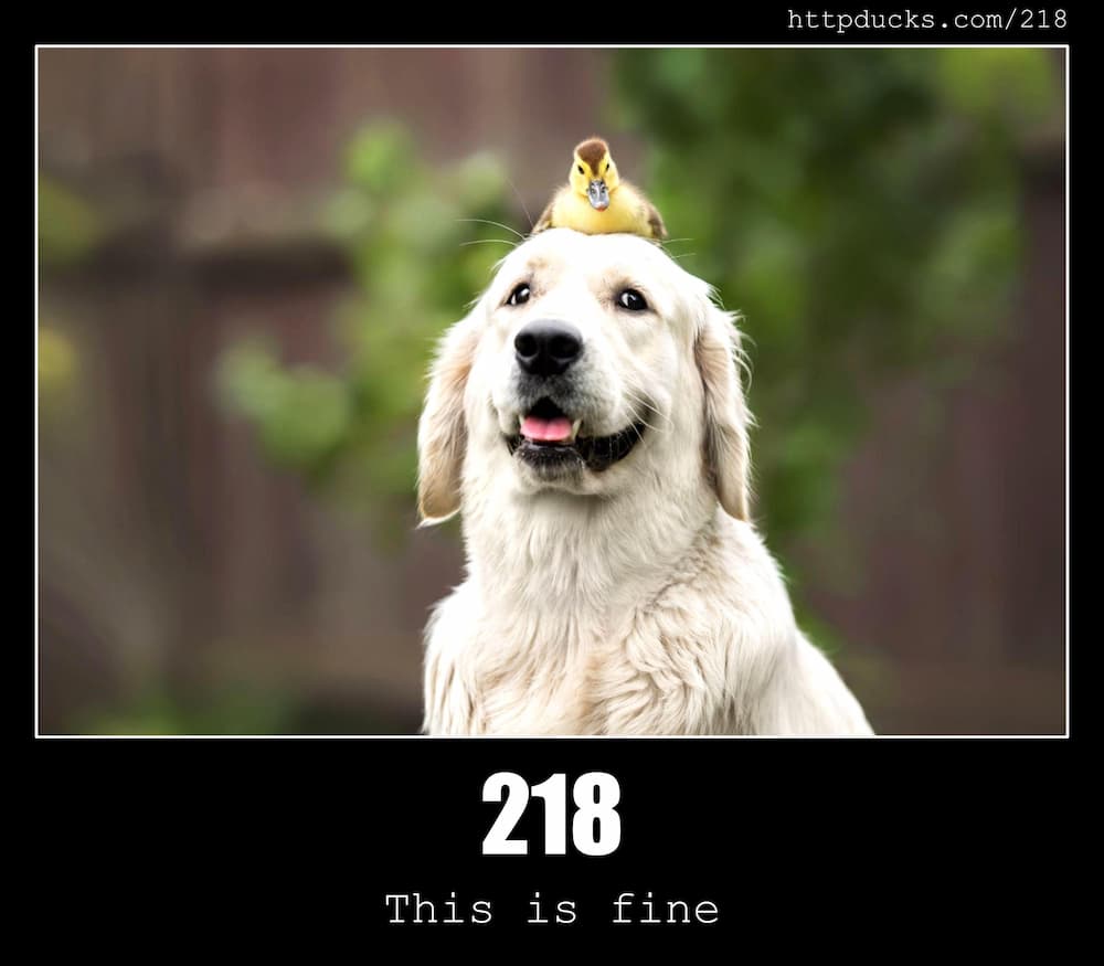 218 This is fine - HTTP status code and dogs!