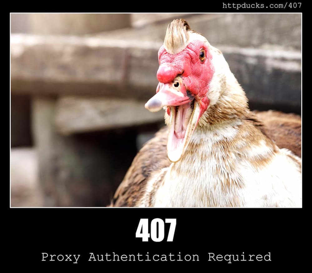 407 Proxy Authentication Required HTTP Status Code And Cats 