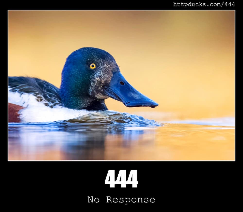 Http Status Ducks Api A Duck Image For Every Http Status Code Http Status Ducks Api A Duck Image For Every Http Status Code