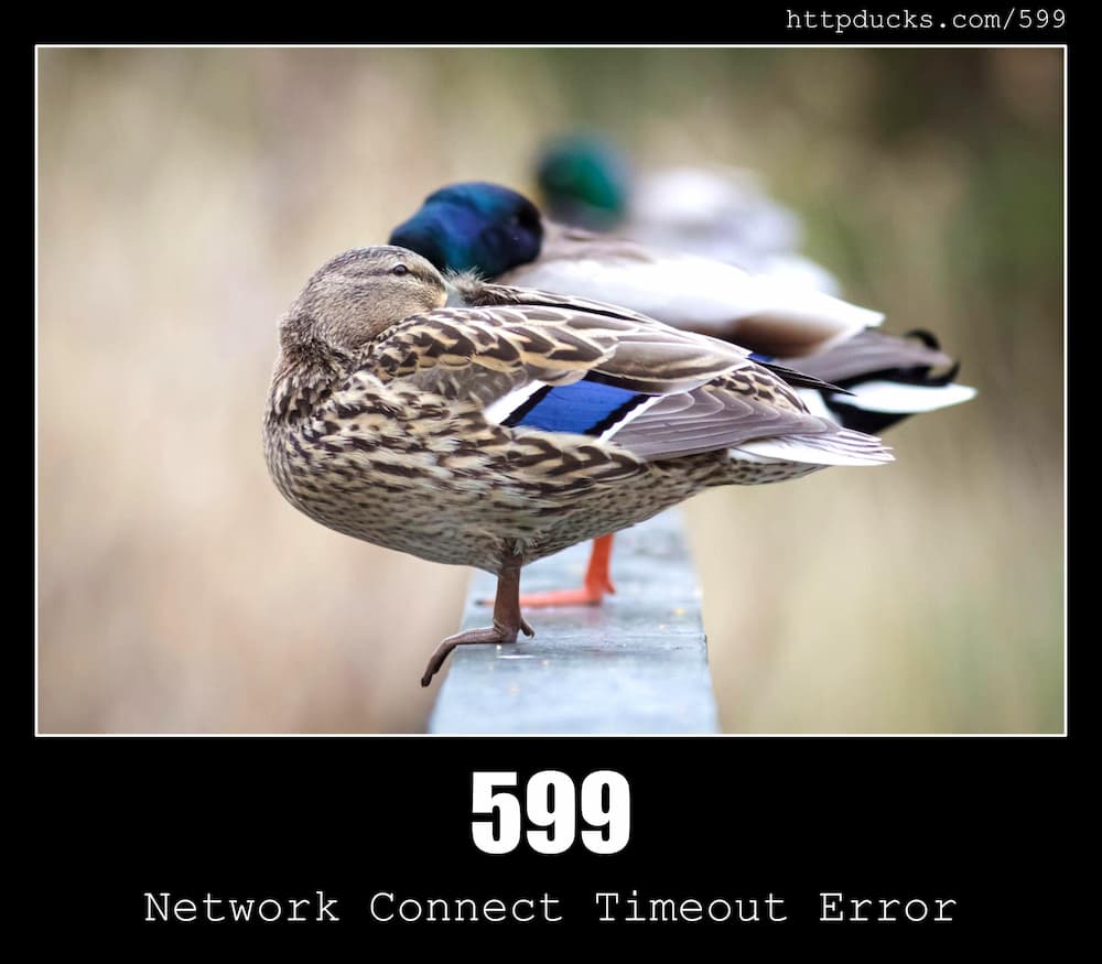 Http Status Ducks Api A Duck Image For Every Http Status Code Http Status Ducks Api A Duck Image For Every Http Status Code