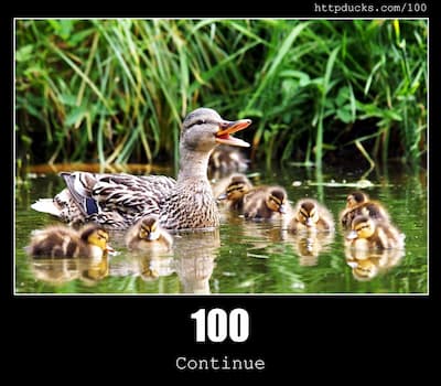 100 Continue & Ducks