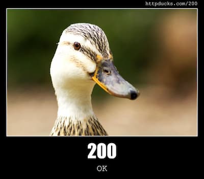 200 OK & Ducks