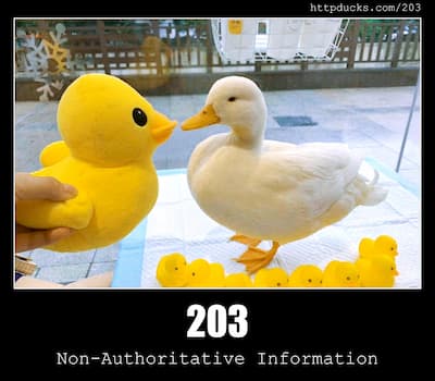 203 Non-Authoritative Information & Ducks