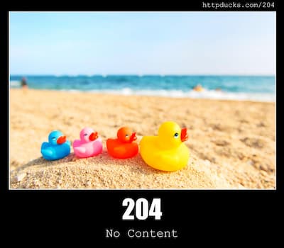 204 No Content & Ducks
