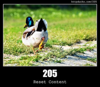 205 Reset Content & Ducks