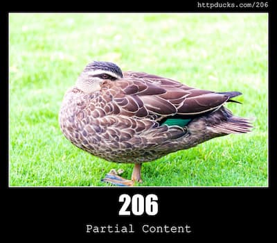206 Partial Content  & Ducks