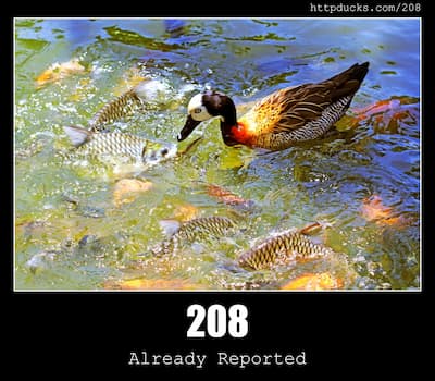 208 Already Reported & Ducks