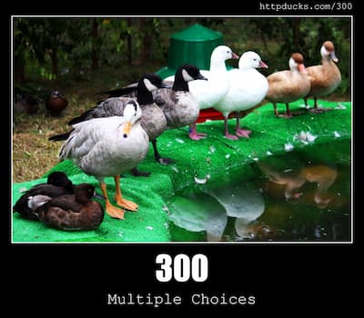 300 Multiple Choices & Ducks