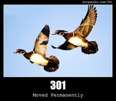 301 Moved Permanently & Ducks