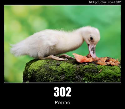302 Found & Ducks