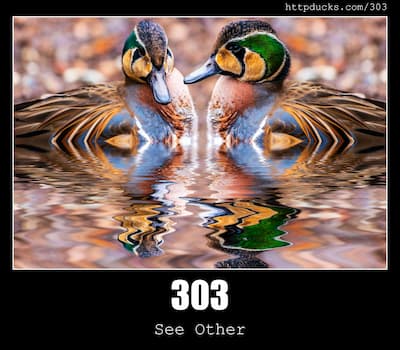 303 See Other & Ducks