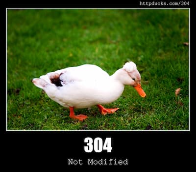 304 Not Modified & Ducks